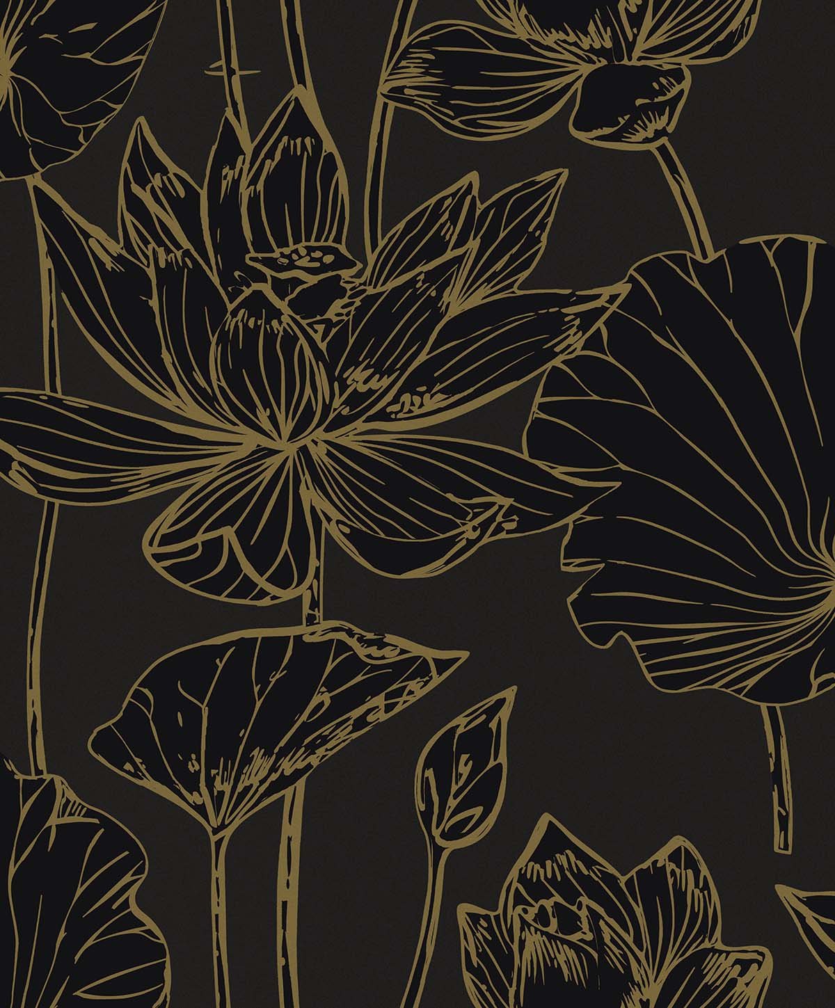 0091349_viola-graphite Viola - Graphite - Image 1