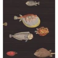 Color Variation