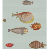 Color Variation
