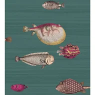 Color Variation