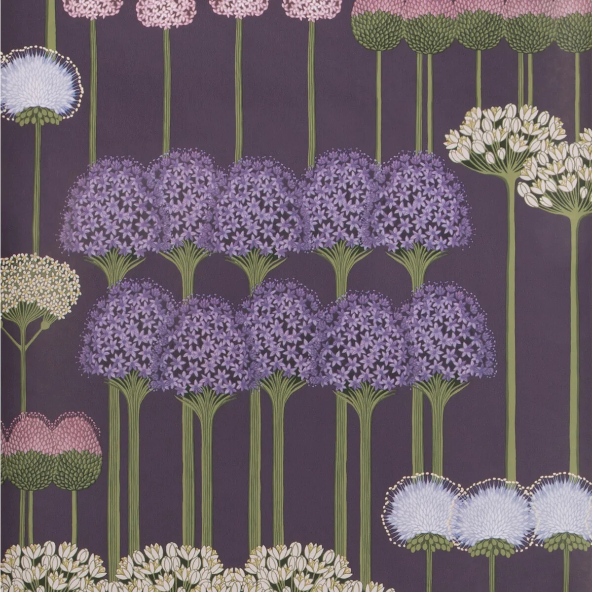 Allium wallpaper in Mulb/heather/violet by Cole & Son
