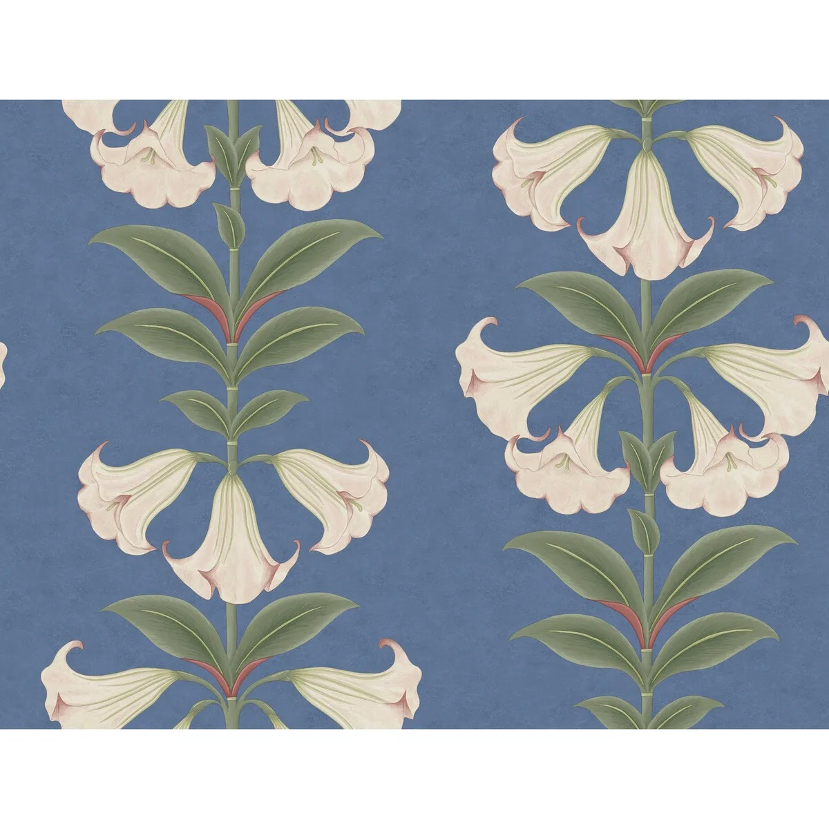 Angels Trumpet wallpaper in Ballet Slipper/sage/c Sky by Cole & Son, botanical & floral pattern