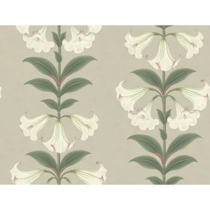 Angels Trumpet wallpaper in Chalk and Sage On Stone by Cole & Son, botanical & floral pattern
