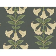 Color Variation