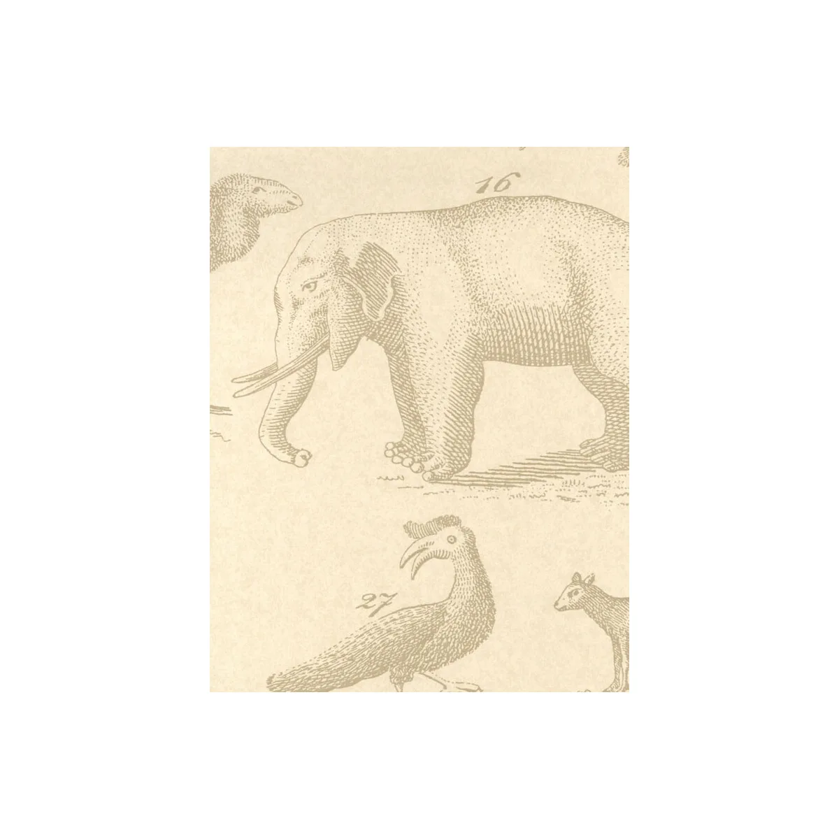 Ark wallpaper in Sand by Kravet Couture