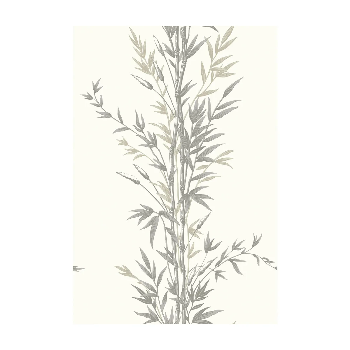 Bamboo wallpaper in Charcoal by Cole & Son, botanical & floral pattern