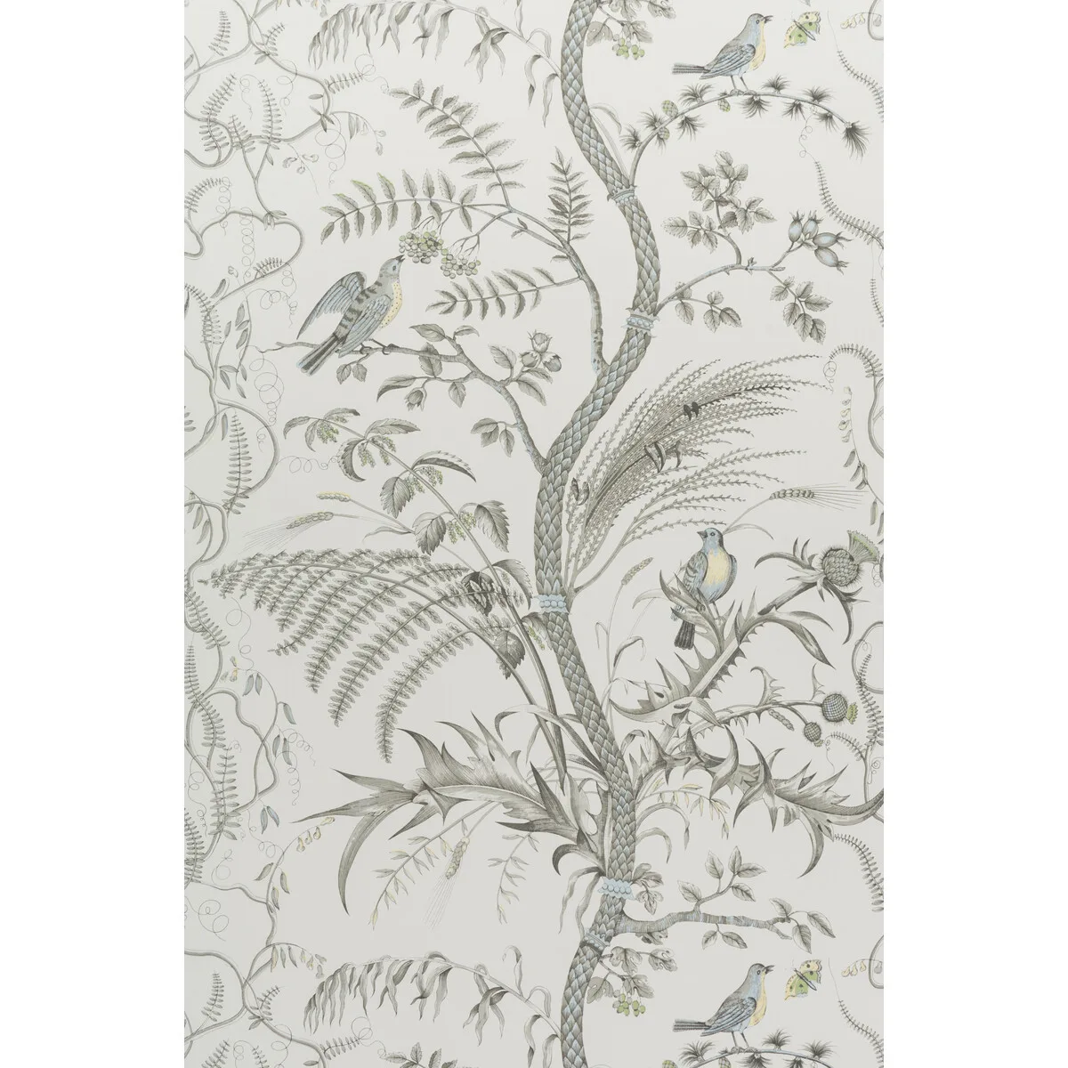 Bird and Thistle wallpaper in Gray by Brunschwig & Fils
