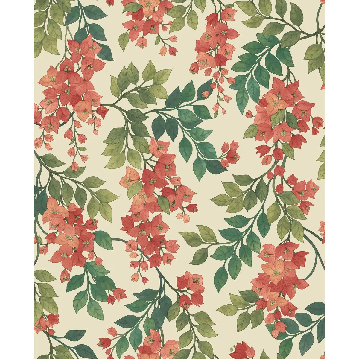 Bougainvillea wallpaper in Rouge/olive Grn/emerald/crm by Cole & Son, botanical & floral pattern