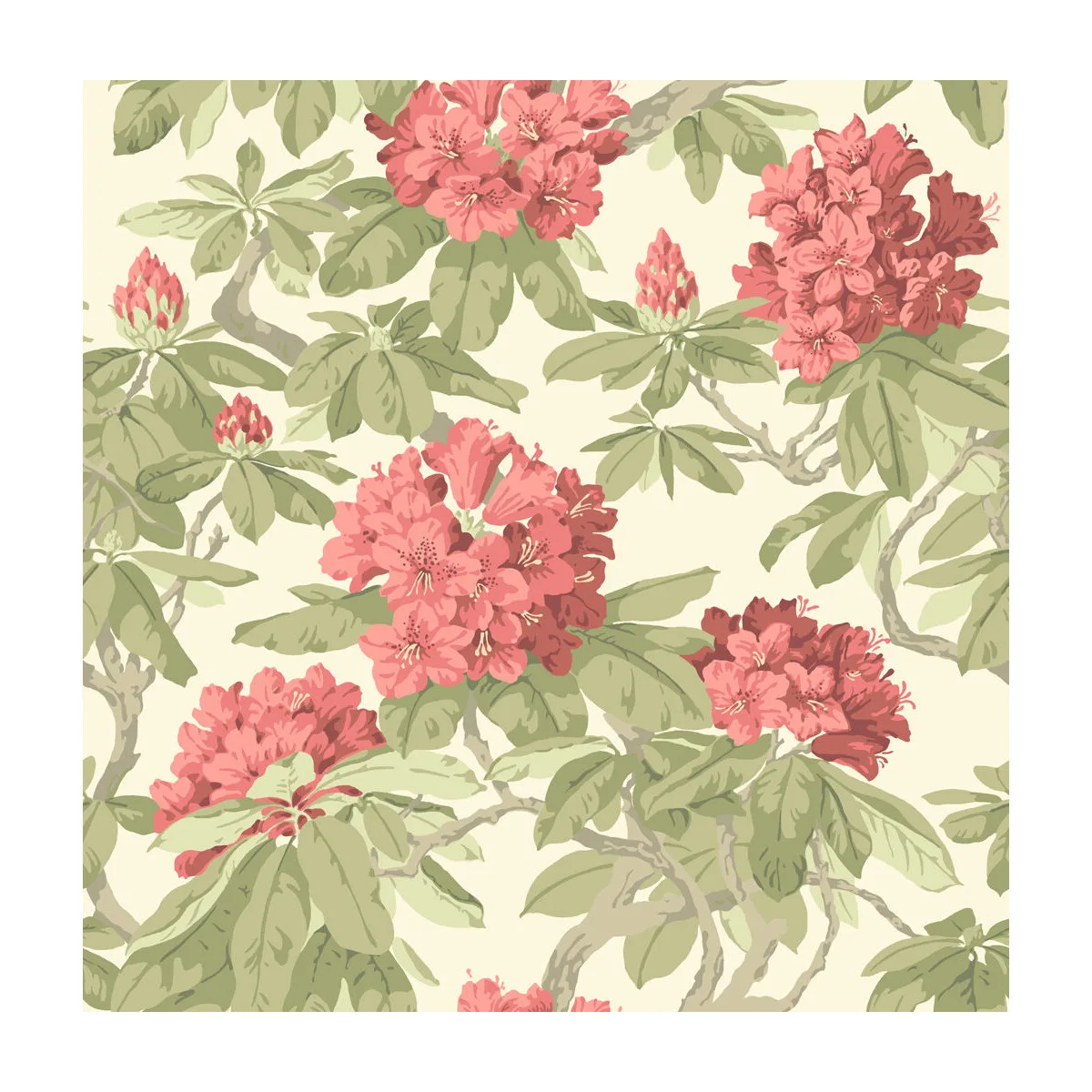 Bourlie wallpaper in Coral by Cole & Son, botanical & floral pattern