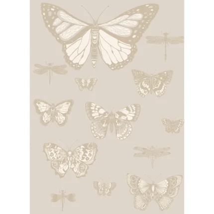 Butterflies & Dragonflies wallpaper in Grey by Cole & Son