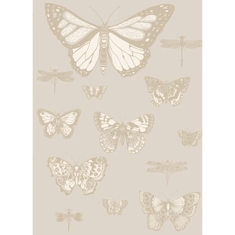 Butterflies & Dragonflies wallpaper in Grey by Cole & Son