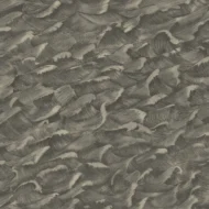 Color Variation
