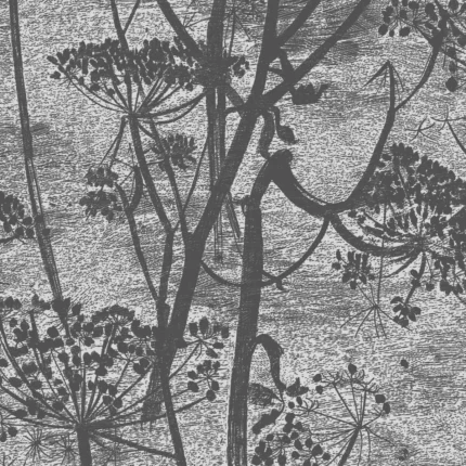 Cow Parsley wallpaper in Charcoal by Cole & Son