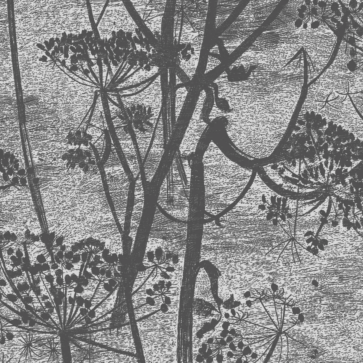 Cow Parsley wallpaper in Charcoal by Cole & Son