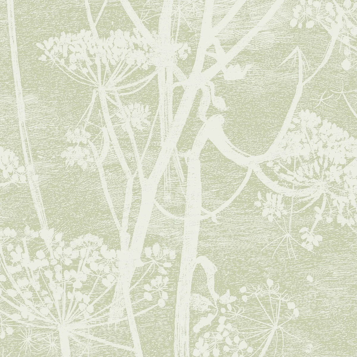 Cow Parsley wallpaper in Olive by Cole & Son