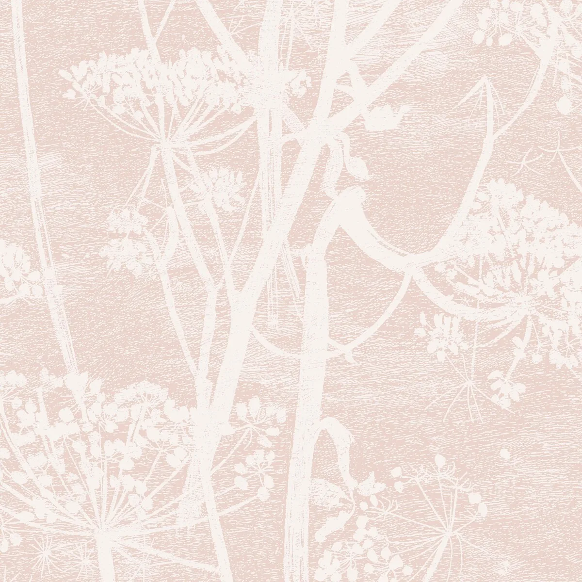 Cow Parsley wallpaper in Plaster Pink by Cole & Son