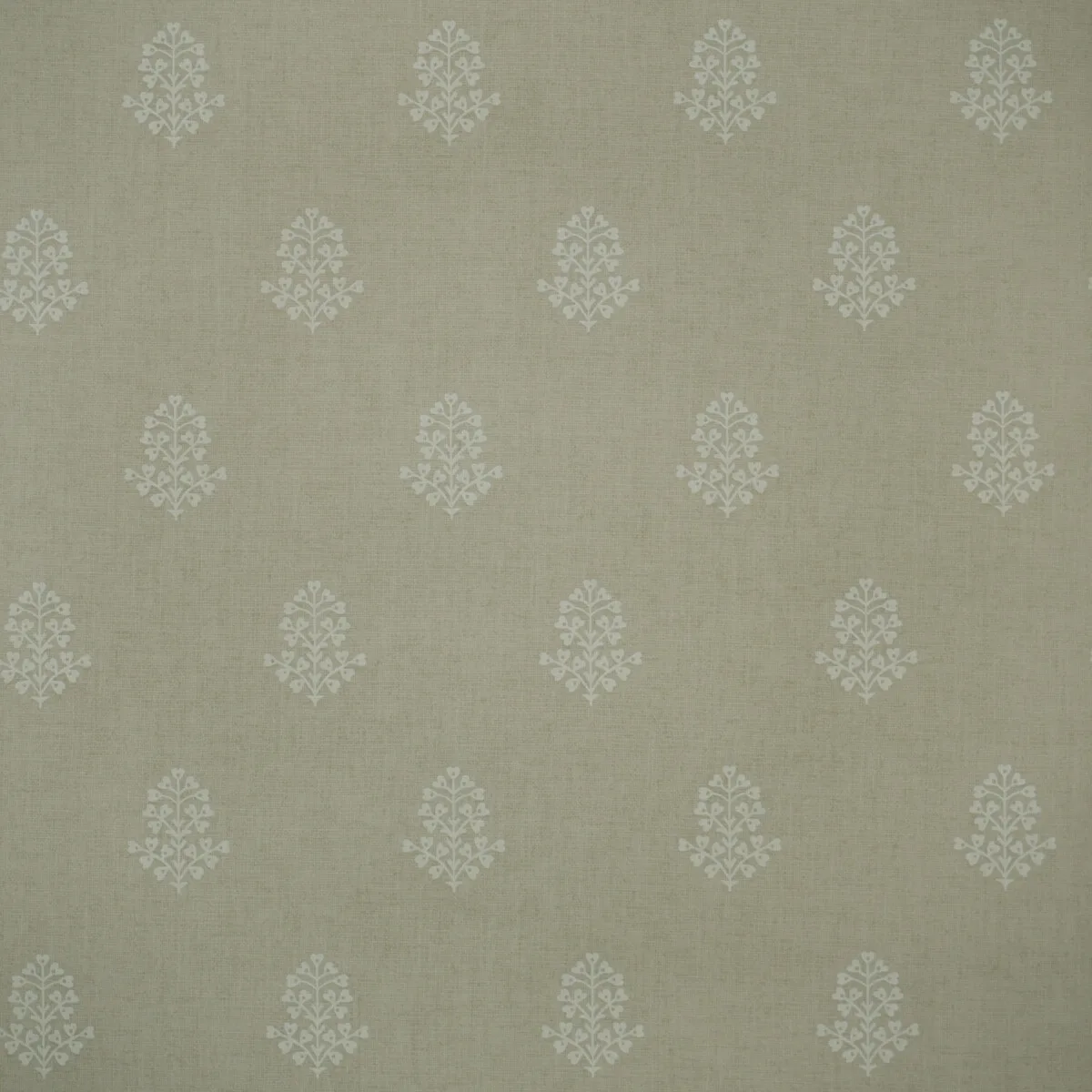 Cow Parsley wallpaper in Stone by Kravet Couture