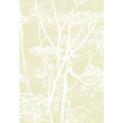 Cow Parsley wallpaper in Straw/white by Cole & Son, botanical & floral pattern
