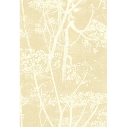Cow Parsley wallpaper in White/bge by Cole & Son