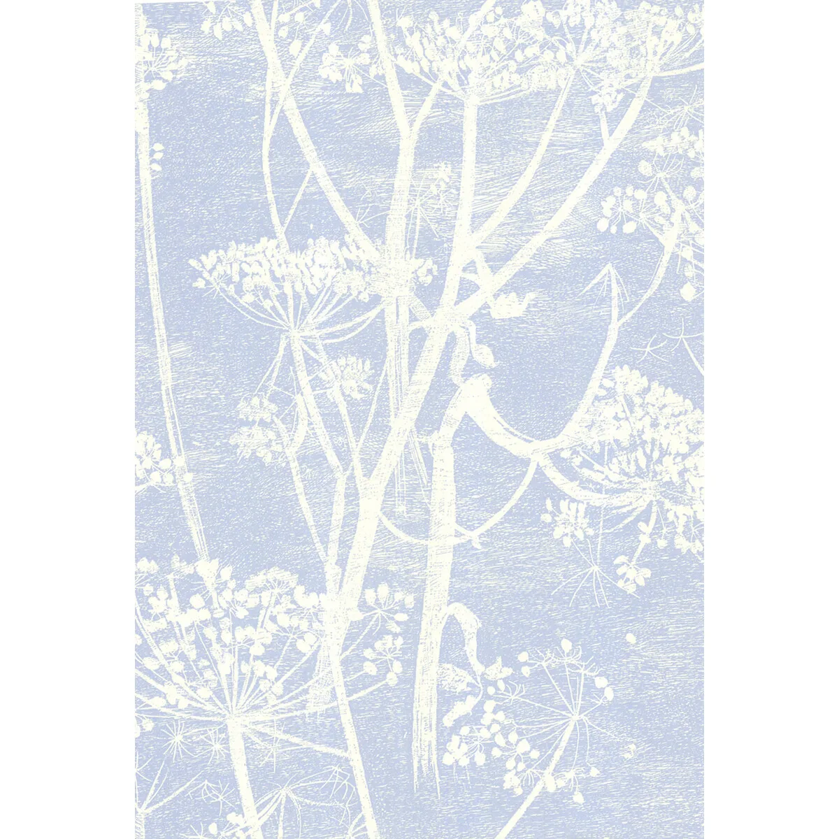Cow Parsley wallpaper in White/blu by Cole & Son