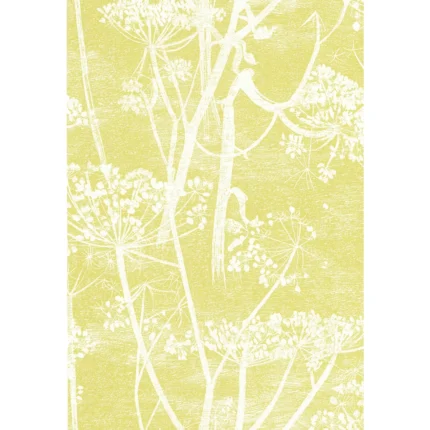 Cow Parsley wallpaper in White/y by Cole & Son