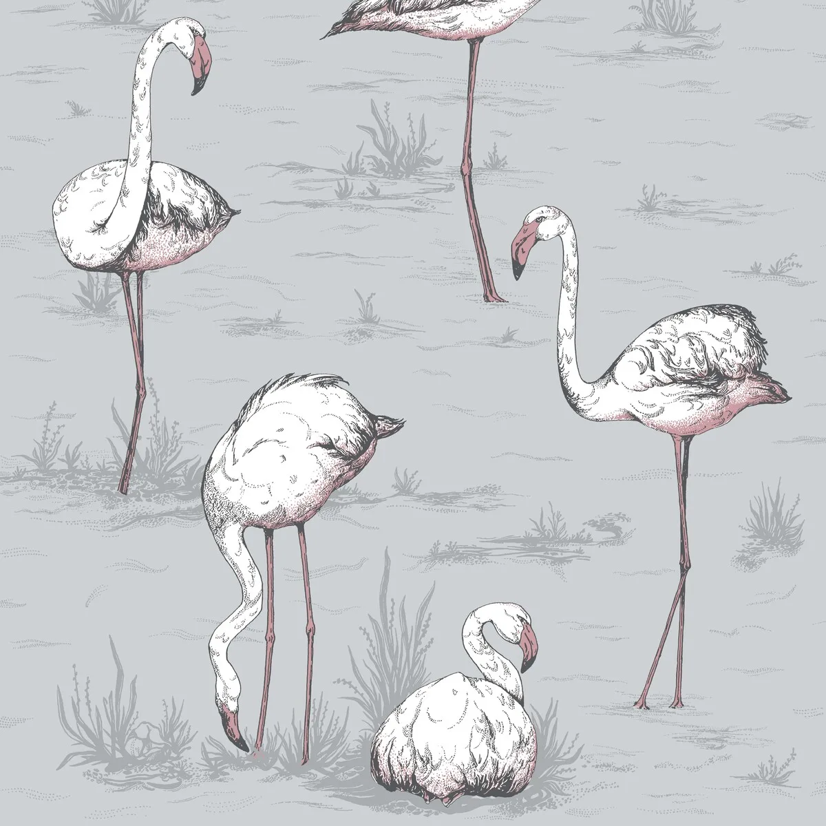 Flamingos wallpaper in Grey by Cole & Son
