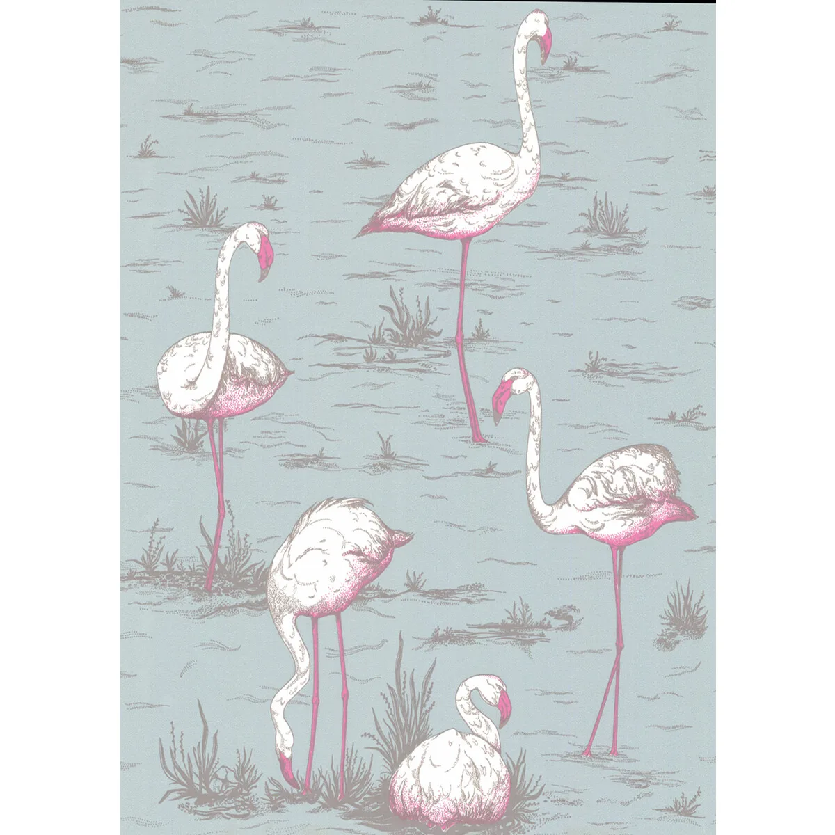 Flamingos wallpaper in Oale Bl by Cole & Son