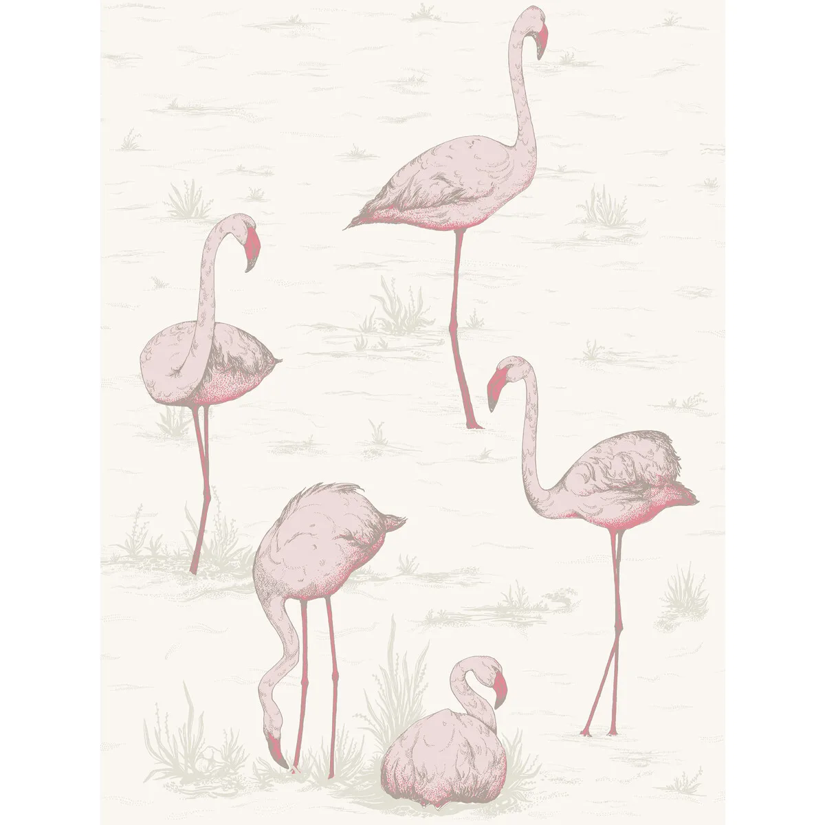 Flamingos wallpaper in Pink/white by Cole & Son