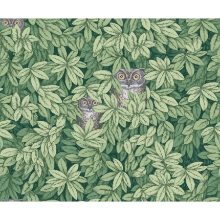 Foglie E Civette wallpaper in Green by Cole & Son, animal/insects pattern