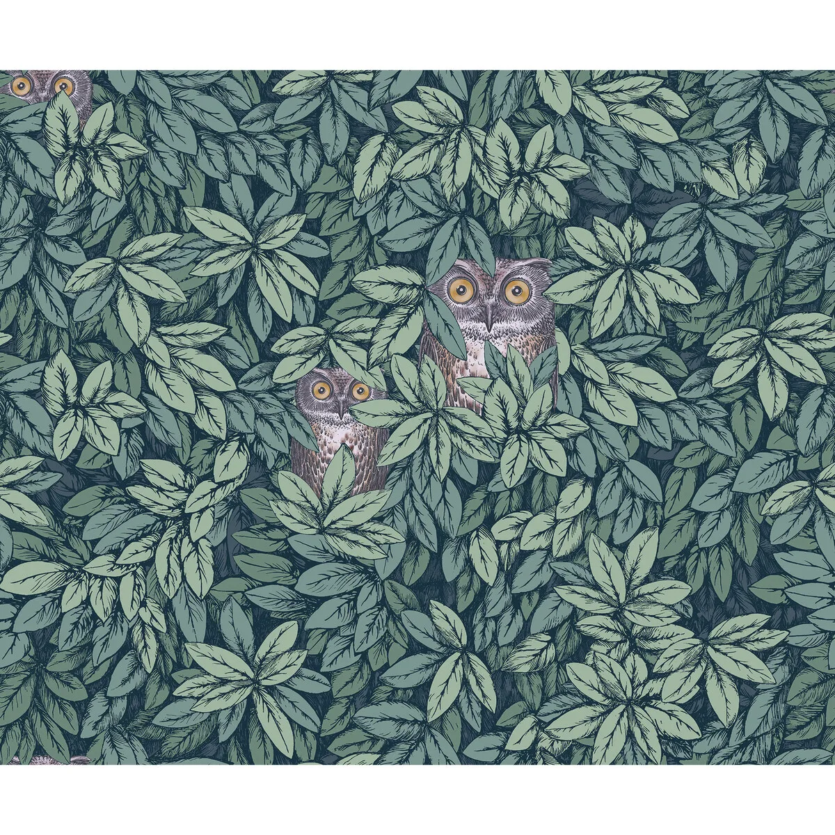 Foglie E Civette wallpaper in Viridian by Cole & Son, animal/insects pattern