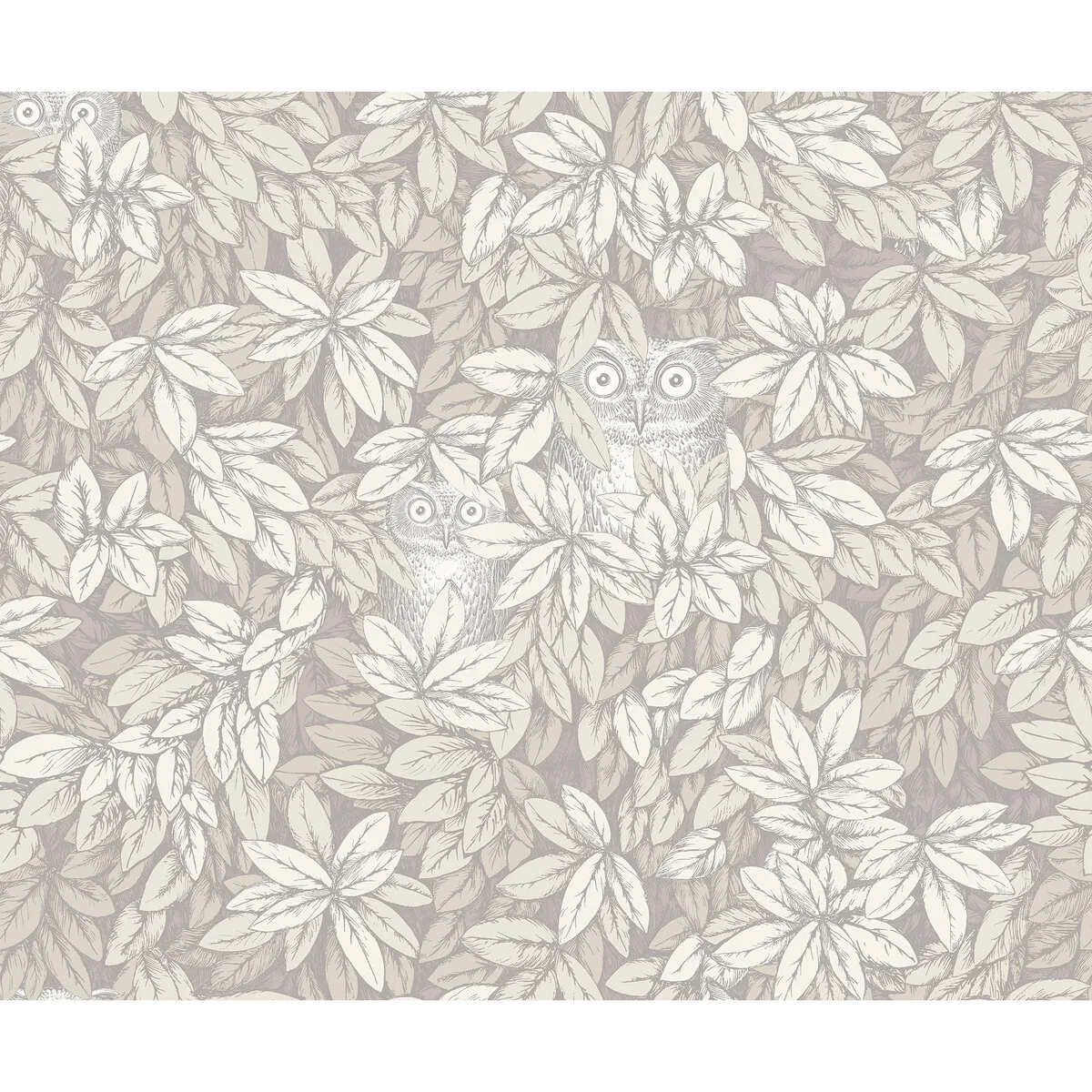 Foglie E Civette wallpaper in White by Cole & Son, animal/insects pattern