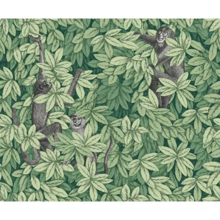 Foglie E Scimmie wallpaper in Green by Cole & Son, animal/insects pattern