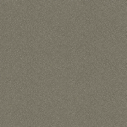 Goldstone wallpaper in Black and Silver by Cole & Son