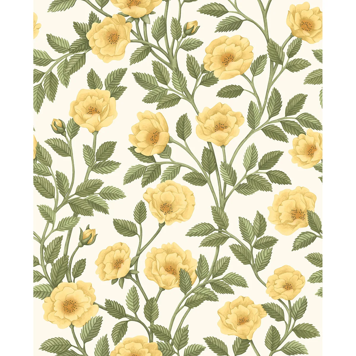 Hampton Roses Mrg & Ogrn/wh Wallpaper - Historic Royal Palaces-great Masters Collection by Cole & Son - Shop Safe in Houston Wallpapering Hampton Roses wallpaper in Mrg and Ogrn/wh by Cole & Son, botanical & floral pattern