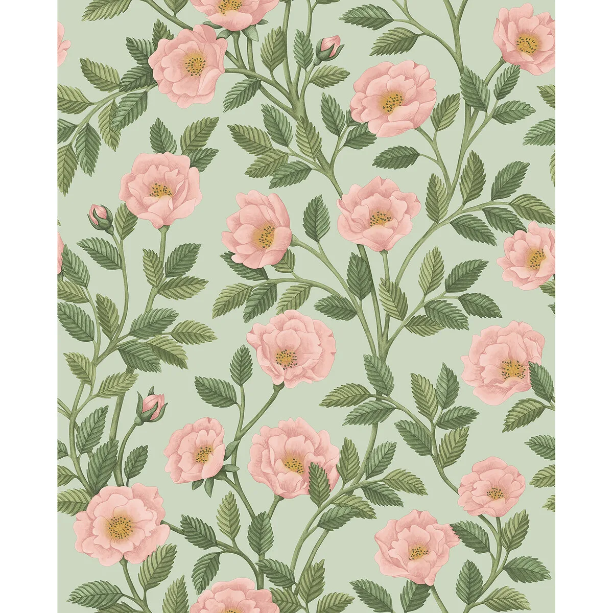 Hampton Roses R & Lgrn/degg Wallpaper - Historic Royal Palaces-great Masters Collection by Cole & Son - Shop Safe in Houston Wallpapering Hampton Roses wallpaper in R and Lgrn/degg by Cole & Son, botanical & floral pattern