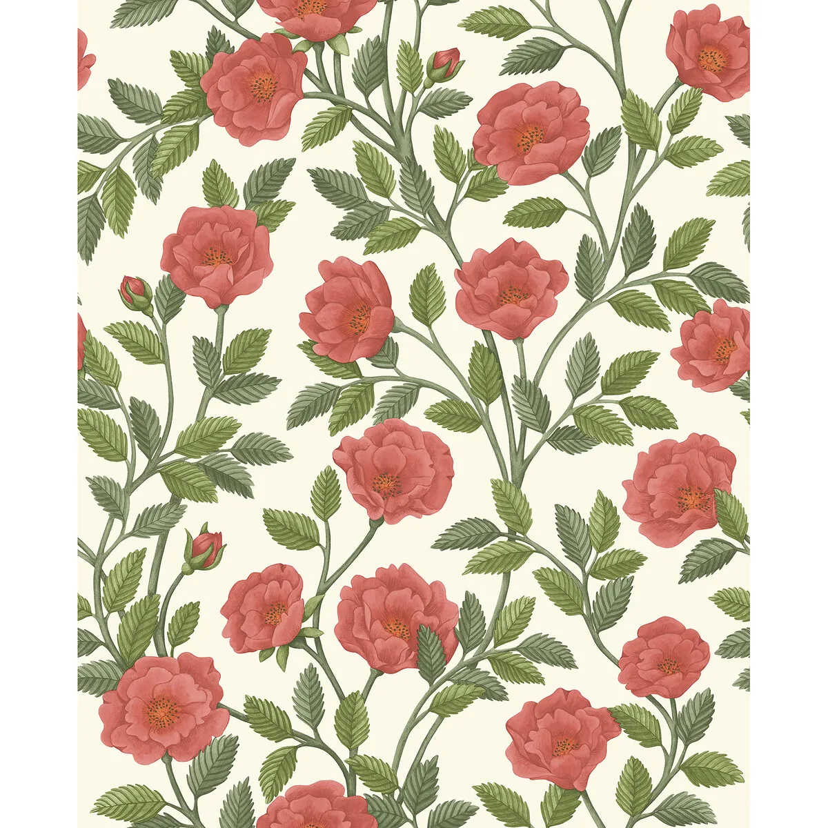 Hampton Roses R & Sgrn/pmnt Wallpaper - Historic Royal Palaces-great Masters Collection by Cole & Son - Shop Safe in Houston Wallpapering Hampton Roses wallpaper in R and Sgrn/pmnt by Cole & Son, botanical & floral pattern
