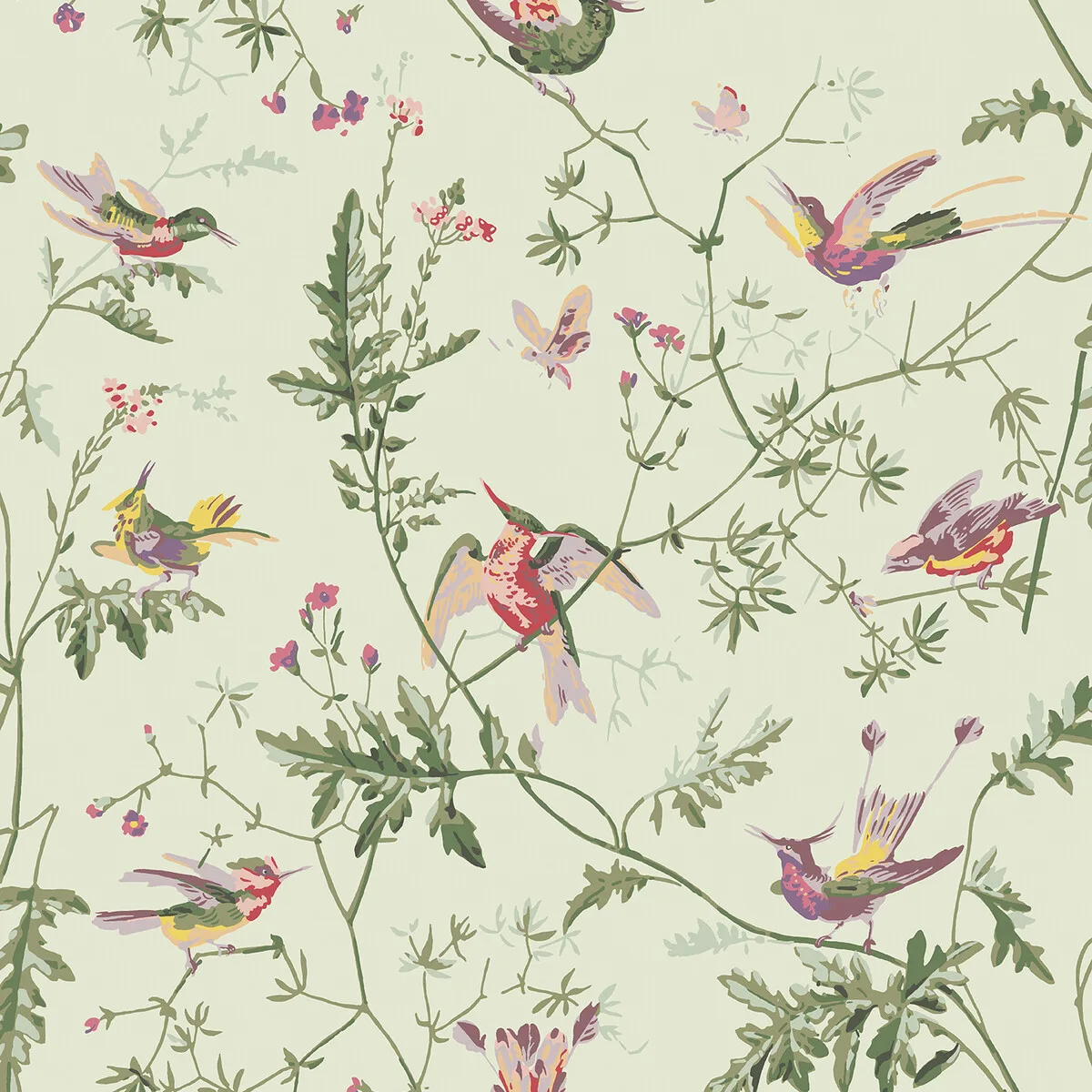 Hummingbirds wallpaper in Green Multi-colour by Cole & Son, animal/insects pattern