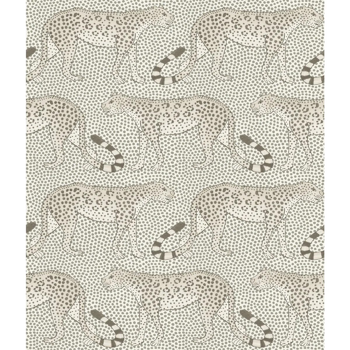 Leopard Walk Black & White Wallpaper - Ardmore Collection by Cole & Son - Shop Safe in Houston Wallpapering Leopard Walk wallpaper in Black and White by Cole & Son
