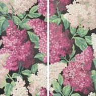 Color Variation