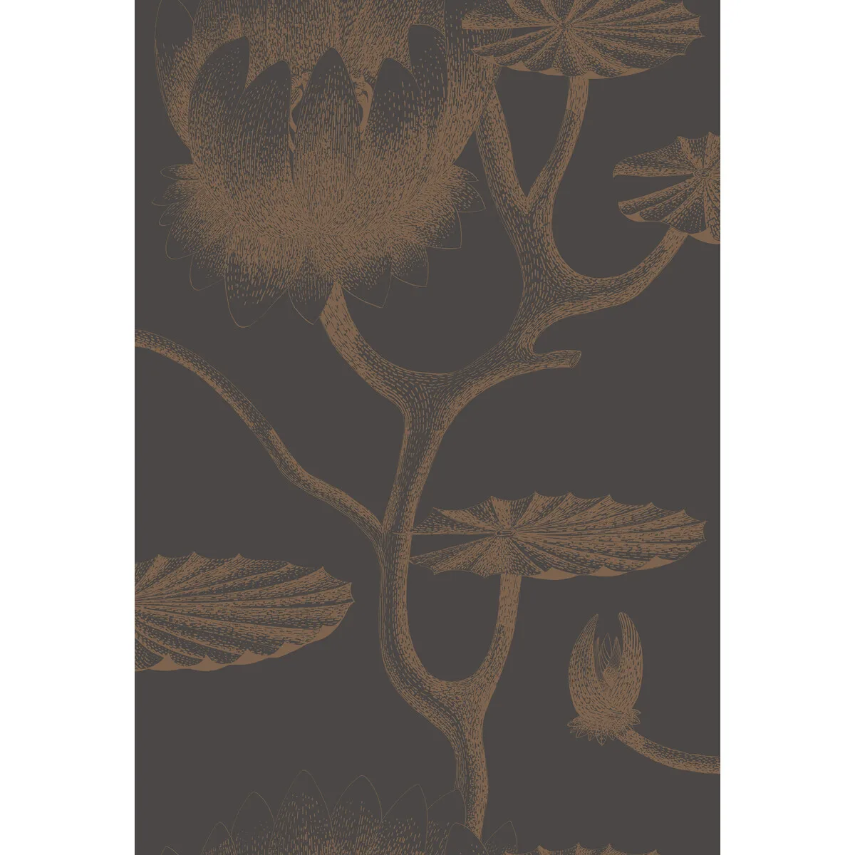 Lily wallpaper in Black/bronze by Cole & Son, botanical & floral pattern