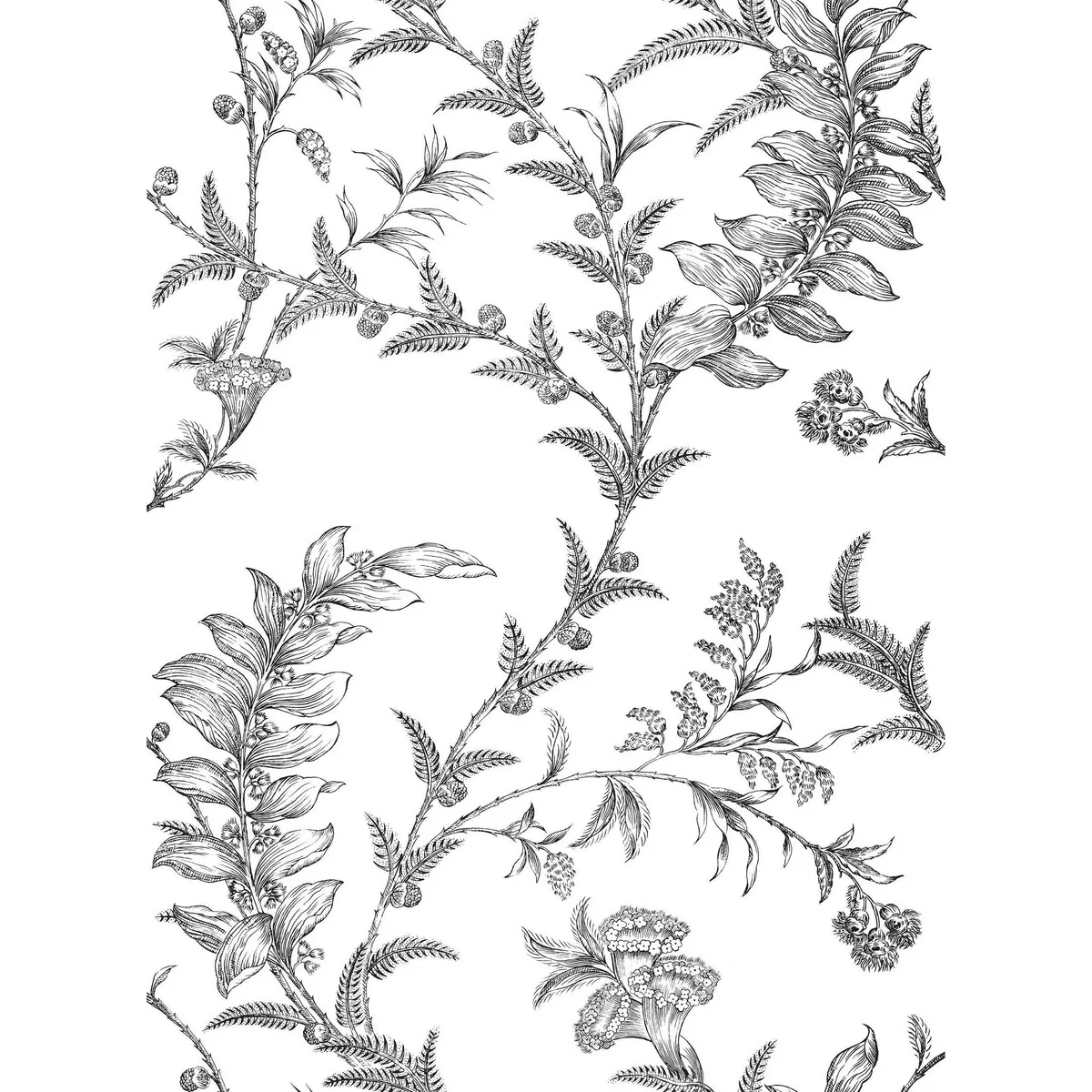 Ludlow Ecru Wallpaper by Cole & Son - Shop Safe in Houston Wallpapering Ludlow wallpaper in Ecru by Cole & Son, botanical & floral pattern
