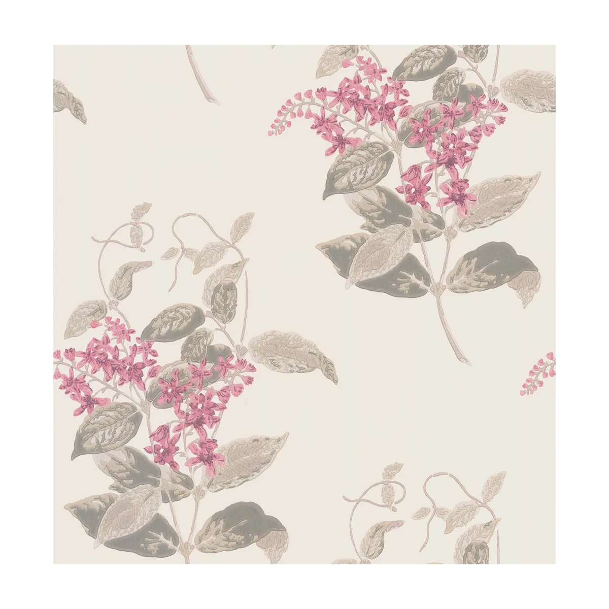 Madras Violet wallpaper in Pink by Cole & Son, botanical & floral pattern