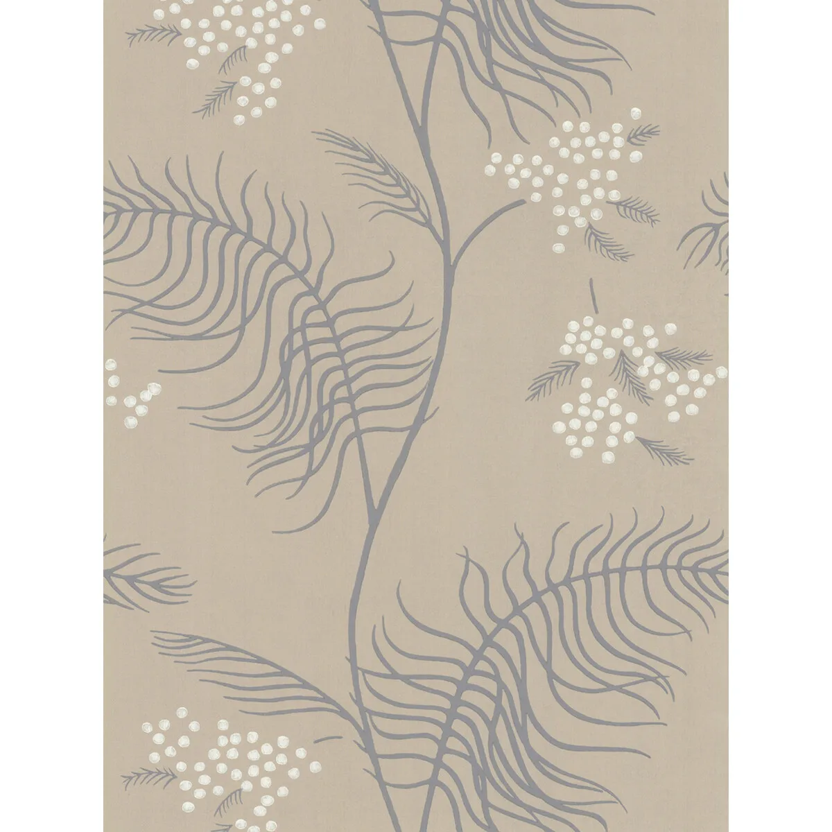 Mimosa wallpaper in Sandstone by Cole & Son, botanical & floral pattern