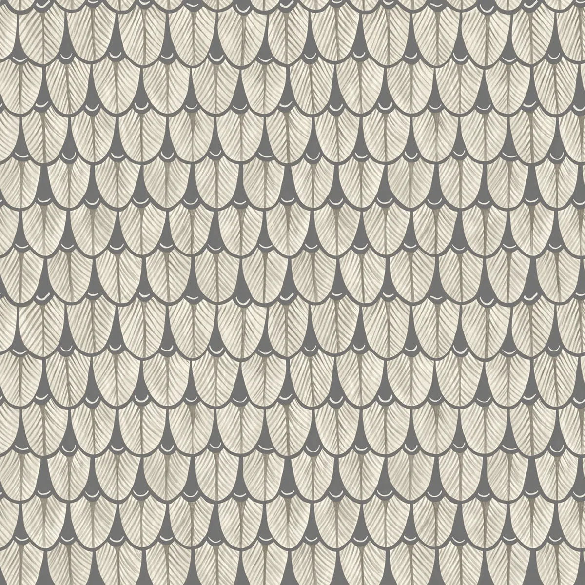 Narina wallpaper in Black and White by Cole & Son