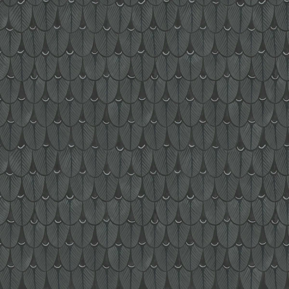 Narina wallpaper in Charcoal by Cole & Son