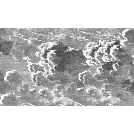 Nuvolette mural in Black/white by Cole & Son
