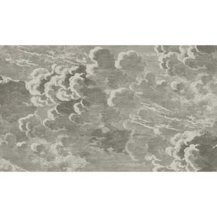 Nuvolette mural in Gilver and Charcoal by Cole & Son