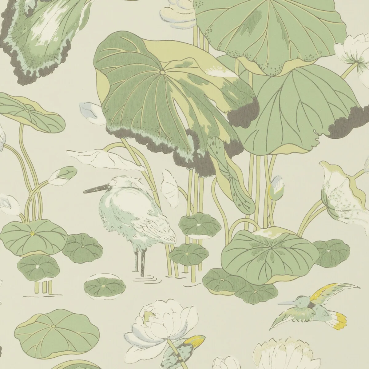 Nympheus wallpaper in Botanical by G P & J Baker, animal/insects pattern