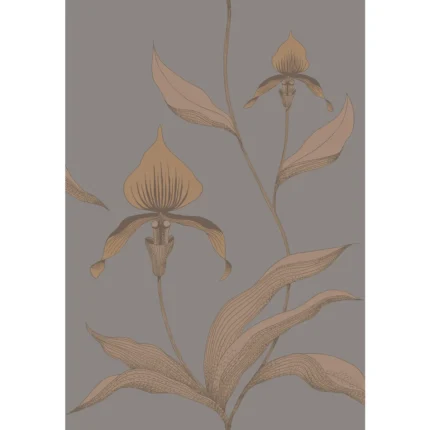 Orchid wallpaper in Bronze/slate by Cole & Son, botanical & floral pattern