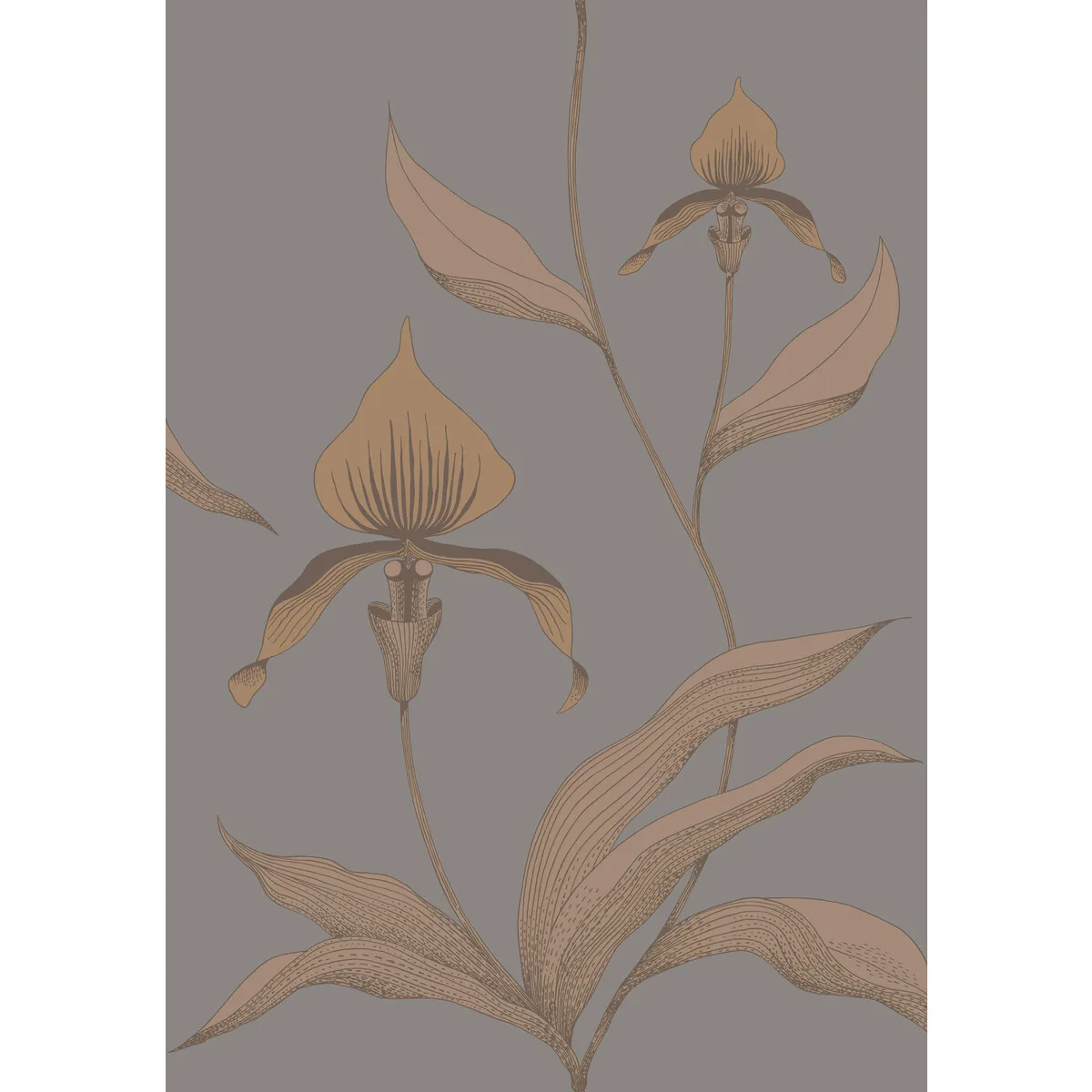 Orchid wallpaper in Bronze/slate by Cole & Son, botanical & floral pattern